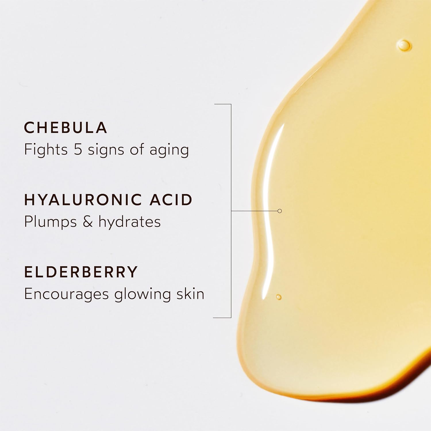 True Botanicals Chebula Active Serum | Optimizes Skins Collagen Levels | Anti-Aging Serum | Treats Fine Lines & Wrinkles | All Skin Types | Dermatologist Tested, All Natural, Vegan | 1 fl oz | 30 ml